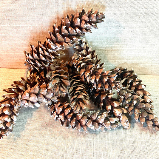 Natural Pine Cones Large/Long/Small Variety/Mixed Bag for Christmas decor, Autumn decoration, Rustic Wedding Centerpiece. CVAG